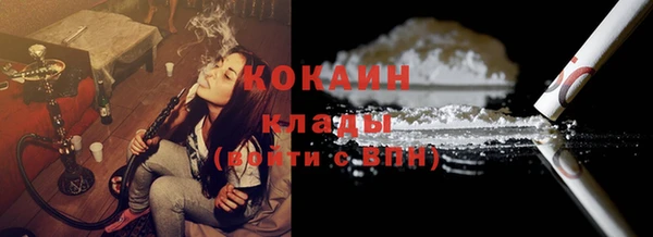 дживик Алзамай