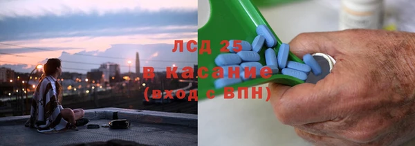 прущие грибы Алексеевка