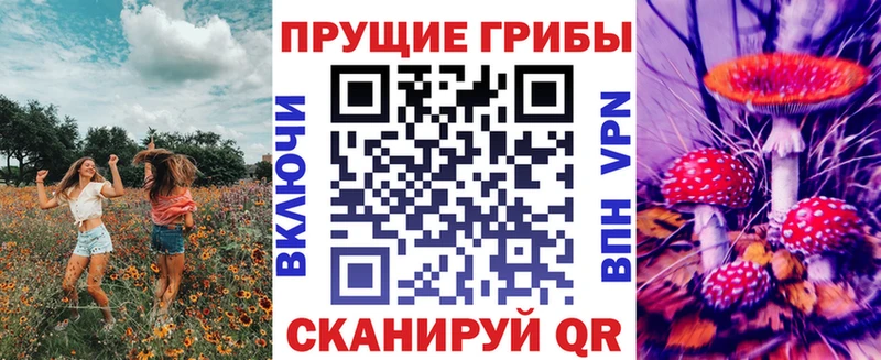 Галлюциногенные грибы Psilocybe Саянск